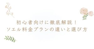 ソエル 料金 プラン