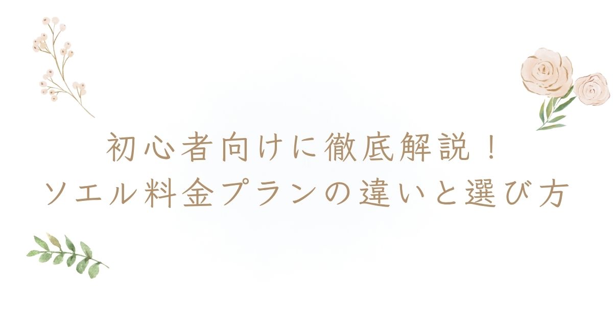 ソエル 料金 プラン
