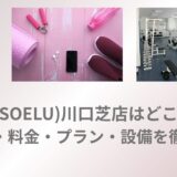 ソエル 川口芝 料金 アクセス プラン