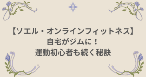 ソエル オンライン 初心者